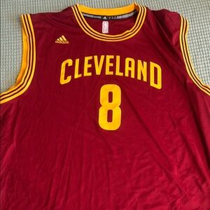 Authentic Cleveland Cavilers Dellavedova Jersey